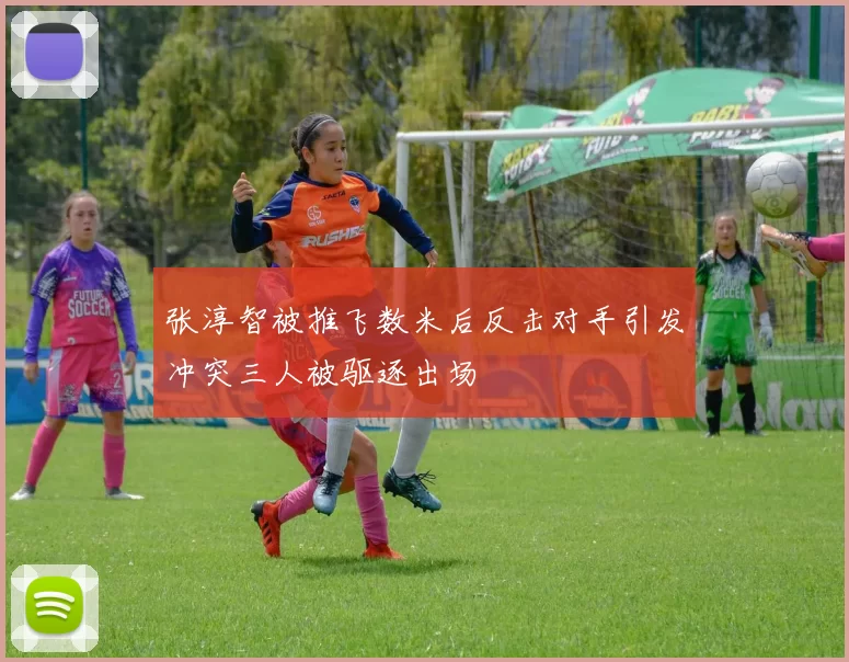 张淳智被推飞数米后反击对手引发冲突三人被驱逐出场