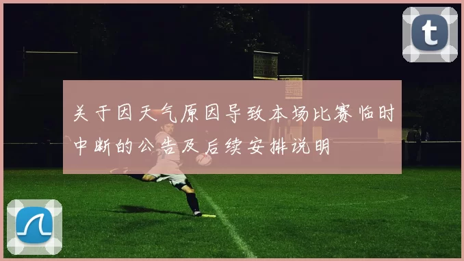关于因天气原因导致本场比赛临时中断的公告及后续安排说明