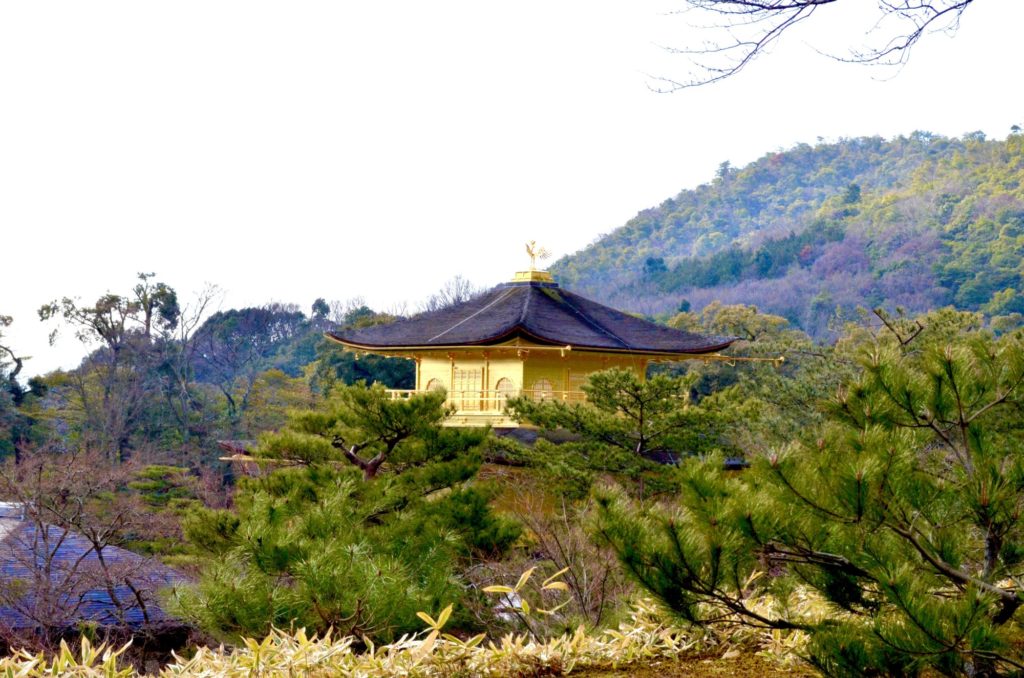 周りの自然と調和のとれた金閣寺